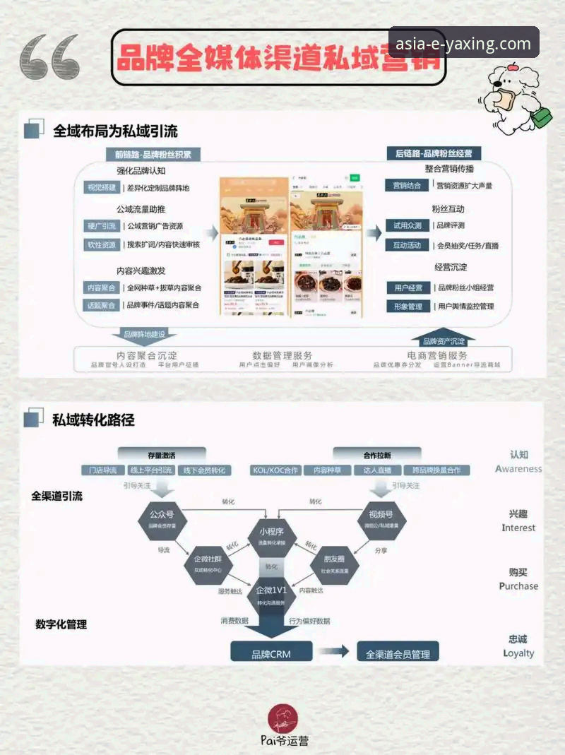 实战派用户深度解析：亚星平台安全吗对比与高效使用心得